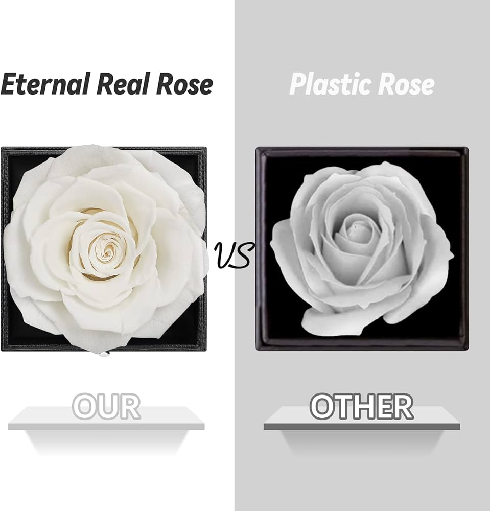 Preserved Eternal Rose with “I Love You” Necklace – Luxury Gift Box