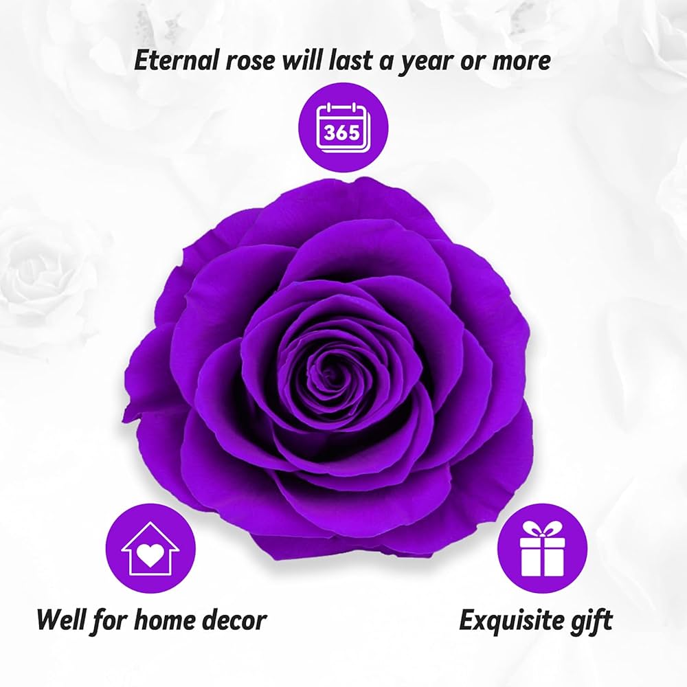 Preserved Eternal Rose with “I Love You” Necklace – Luxury Gift Box