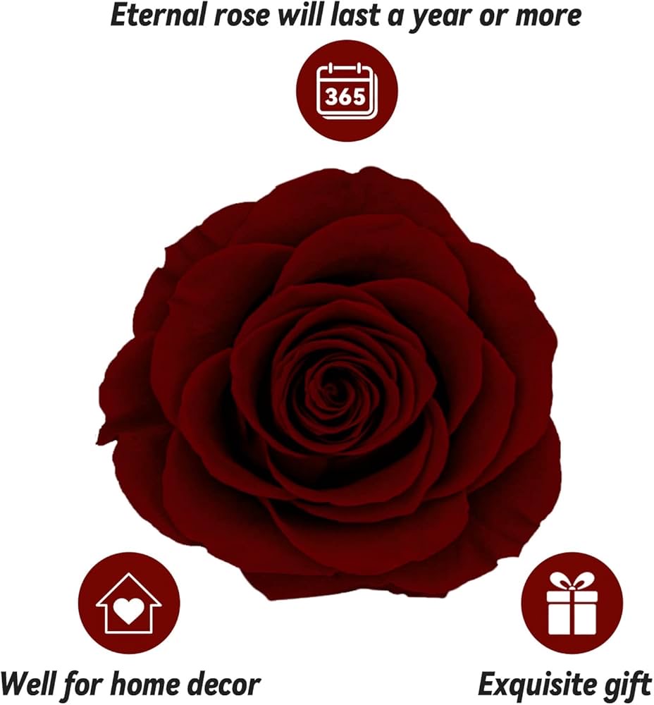 Preserved Eternal Rose with “I Love You” Necklace – Luxury Gift Box