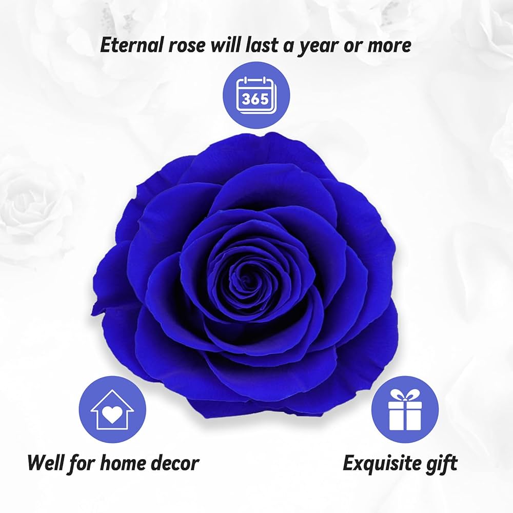 Preserved Eternal Rose with “I Love You” Necklace – Luxury Gift Box