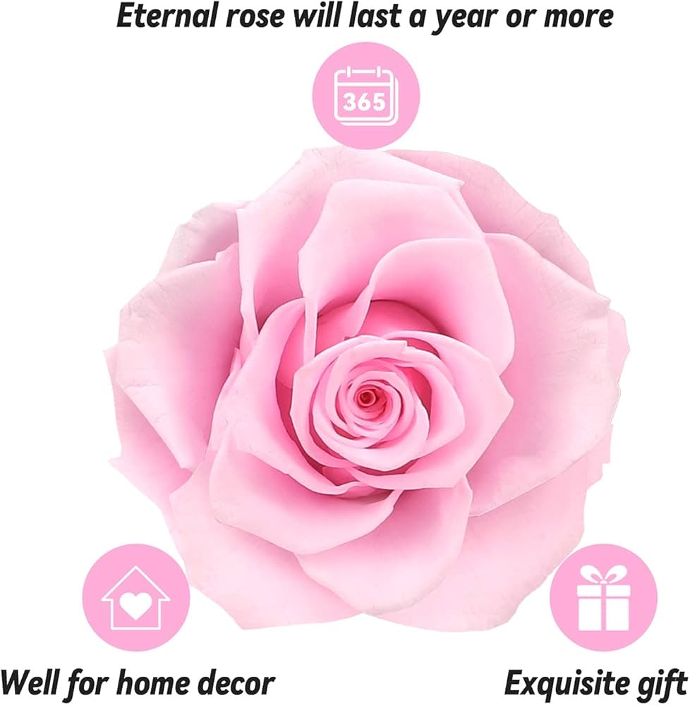 Preserved Eternal Rose with “I Love You” Necklace – Luxury Gift Box