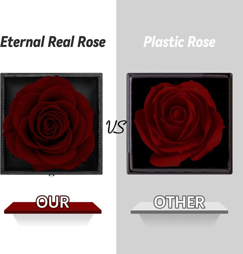 Preserved Eternal Rose with “I Love You” Necklace – Luxury Gift Box