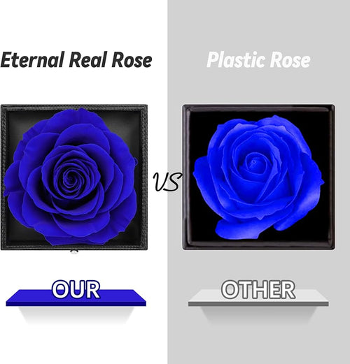 Preserved Eternal Rose with “I Love You” Necklace – Luxury Gift Box