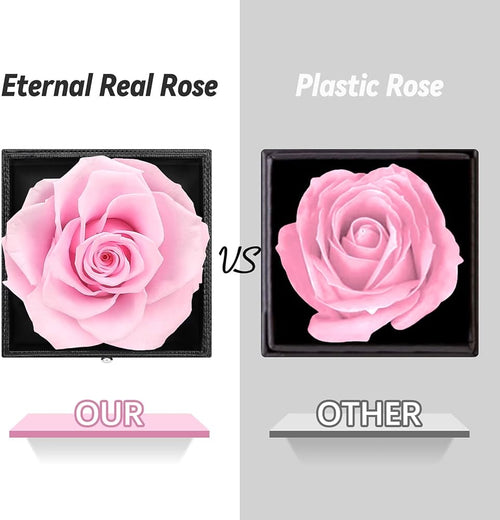 Preserved Eternal Rose with “I Love You” Necklace – Luxury Gift Box