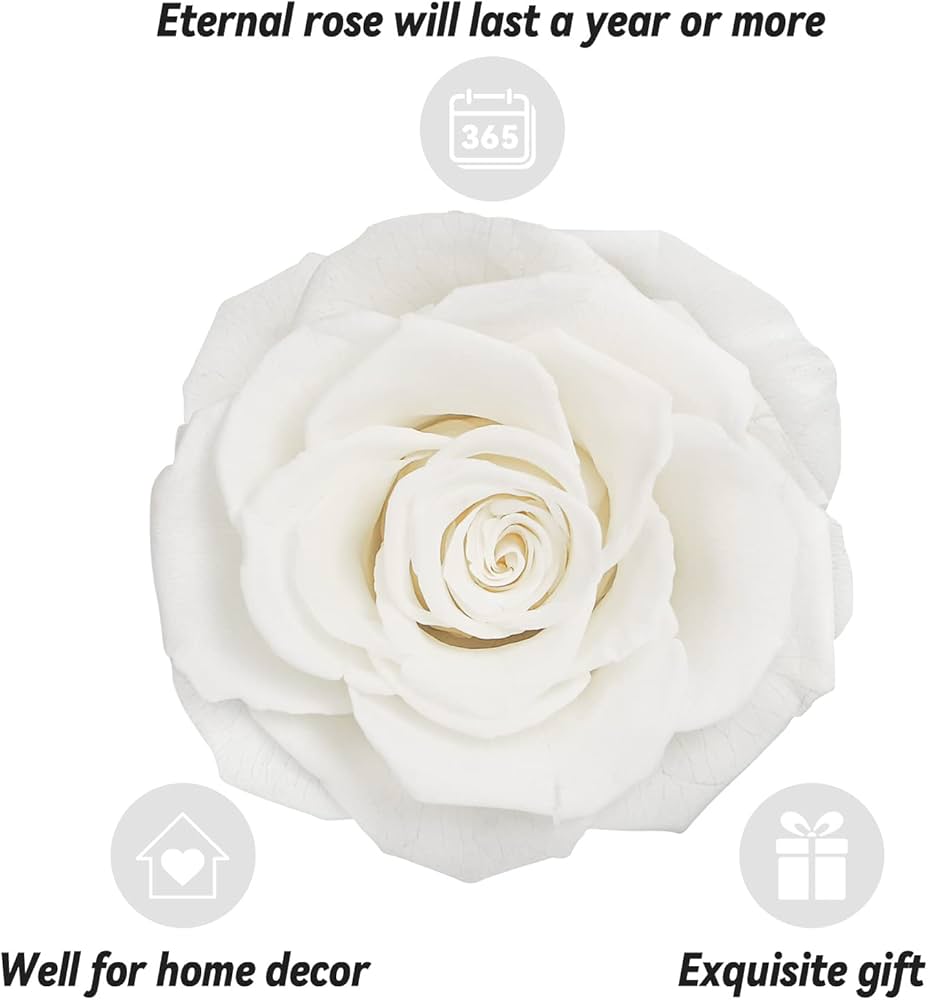 Preserved Eternal Rose with “I Love You” Necklace – Luxury Gift Box